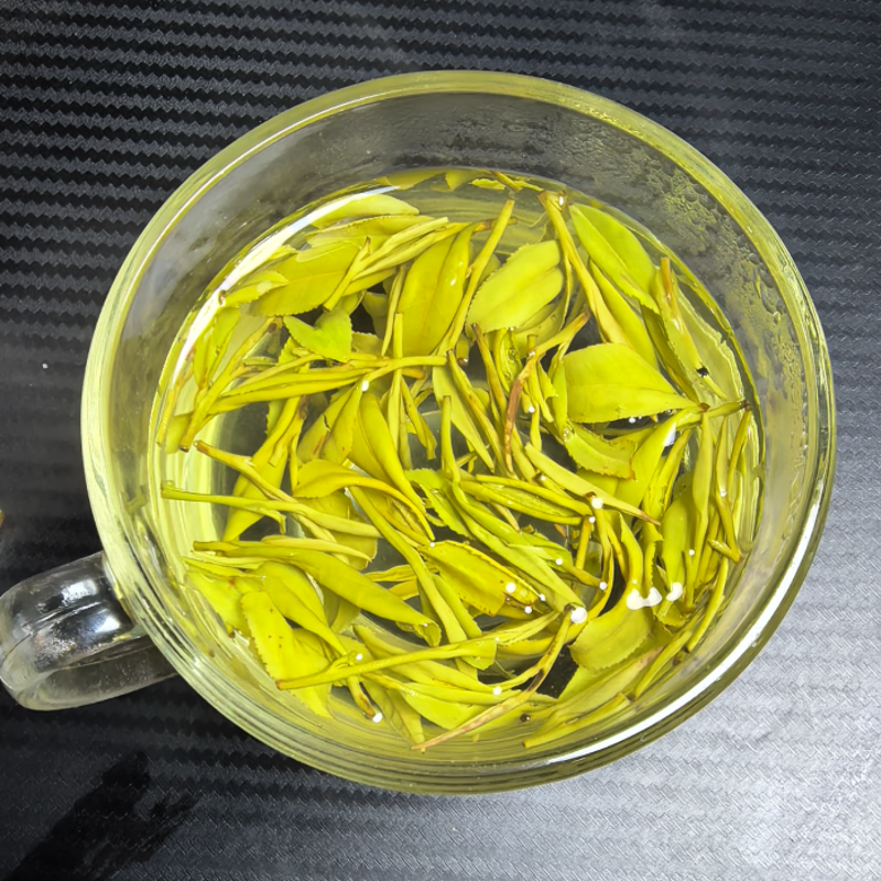 【黄金芽】J2绿茶条形明前嫩芽豆香栗香鲜爽回甘清雅耐泡口粮绿茶
