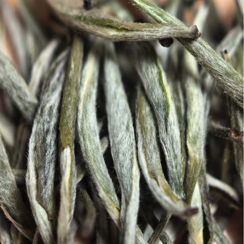 【踏雪兰妃】L1中香2025蒙顶山明前黄茶兰花窨制焖黄工艺白毫如雪