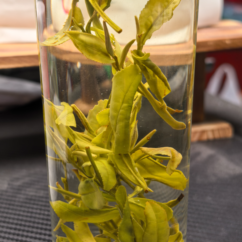 【黄金芽】H2绿茶条形明前嫩芽豆香栗香鲜爽回甘清雅耐泡口粮绿茶