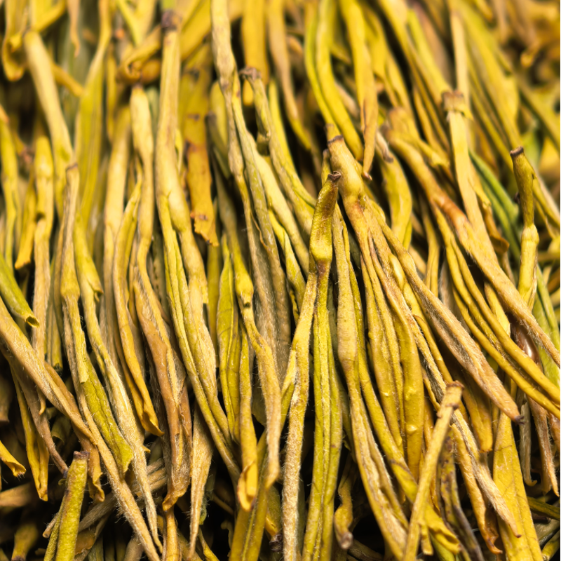 【黄金芽】H0绿茶条形明前嫩芽豆香栗香鲜爽回甘清雅耐泡口粮绿茶