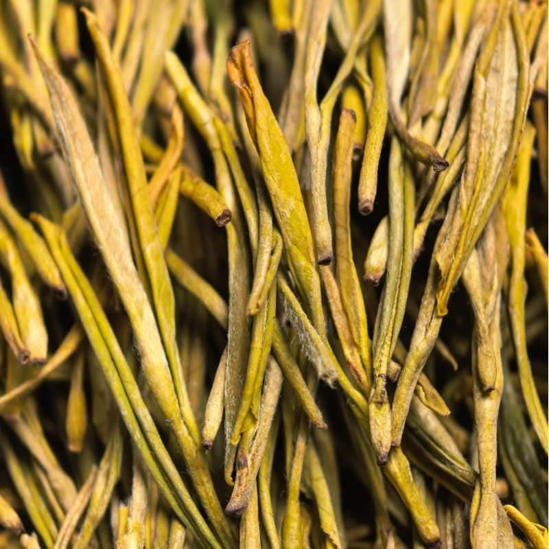 【黄金芽】H0绿茶条形明前嫩芽豆香栗香鲜爽回甘清雅耐泡口粮绿茶