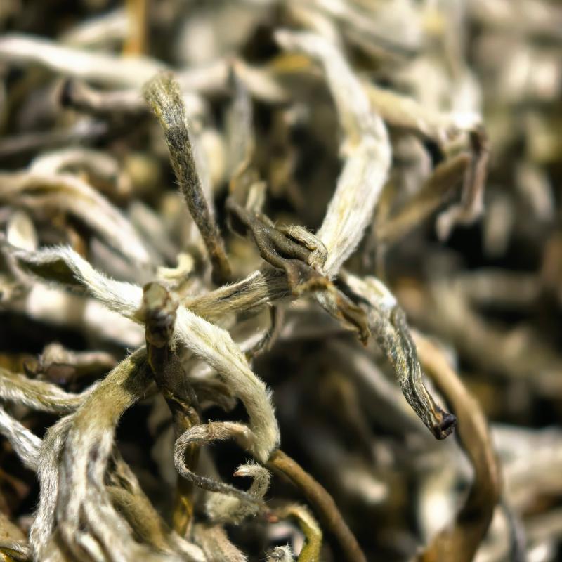 【云南绿茶】玉1玉螺茶叶2026夏茶浓郁可口可泡可煮新茶茶叶