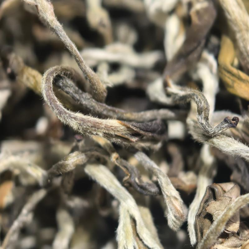 【云南绿茶】L1茶叶2026夏茶浓郁可口可泡可煮新茶茶叶