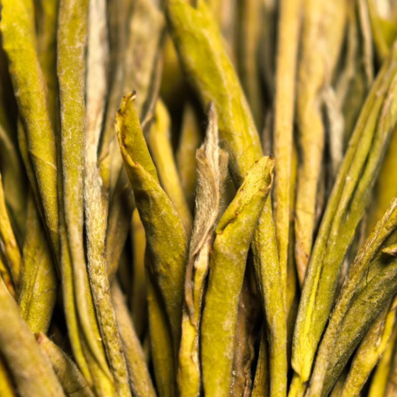 【黄金芽】H1绿茶条形明前嫩芽豆香栗香鲜爽回甘清雅耐泡口粮绿茶