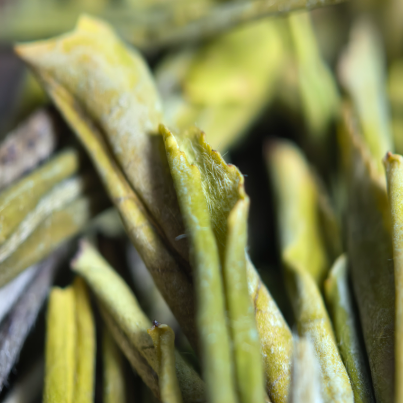 【黄金芽】H4绿茶条形明前嫩芽豆香栗香鲜爽回甘清雅耐泡口粮绿茶