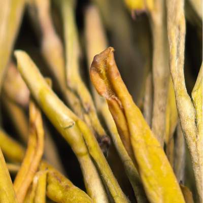 【黄金芽】H0绿茶条形明前嫩芽豆香栗香鲜爽回甘清雅耐泡口粮绿茶