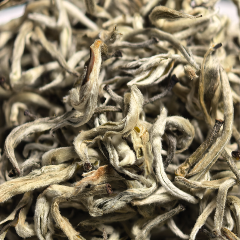 【云南雪龙】高山明前嫩芽鲜爽浓香绿茶微涩即化花香栗香茶叶