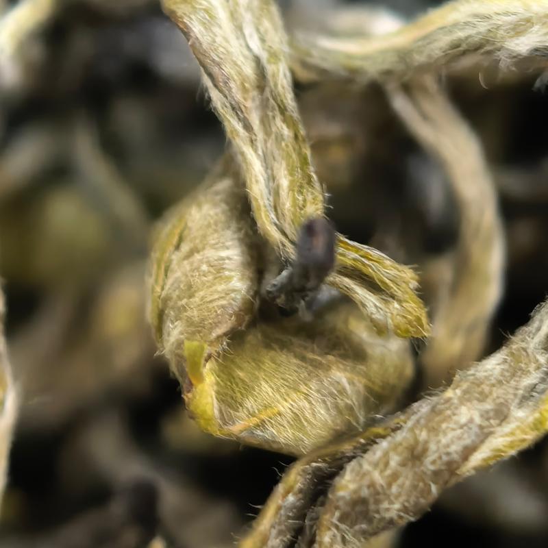 【春尖银丝】Y5明前高山绿茶白毫显露鲜爽甘甜耐泡花香春季嫩芽茶叶