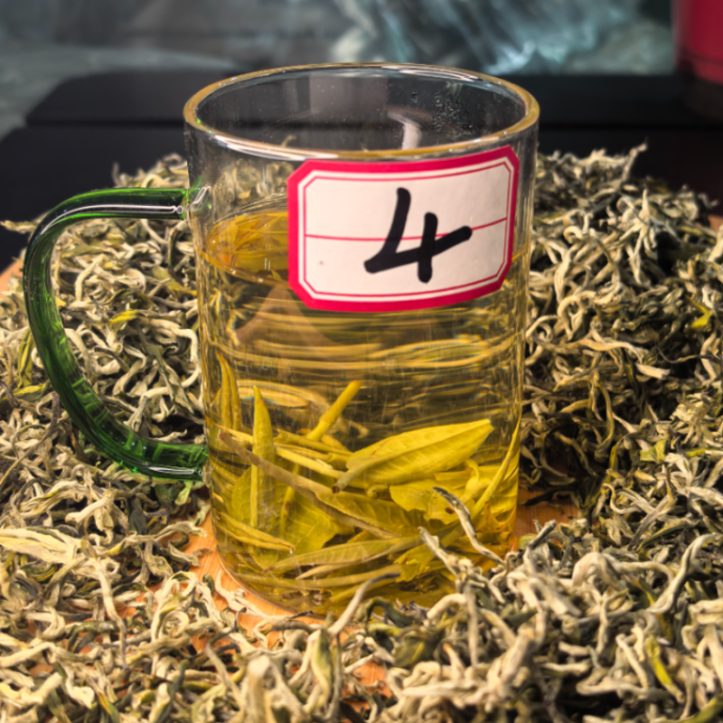 【云南玉螺】明前高山春茶绿茶大叶种卷曲螺形耐泡鲜爽鲜醇耐泡回甘