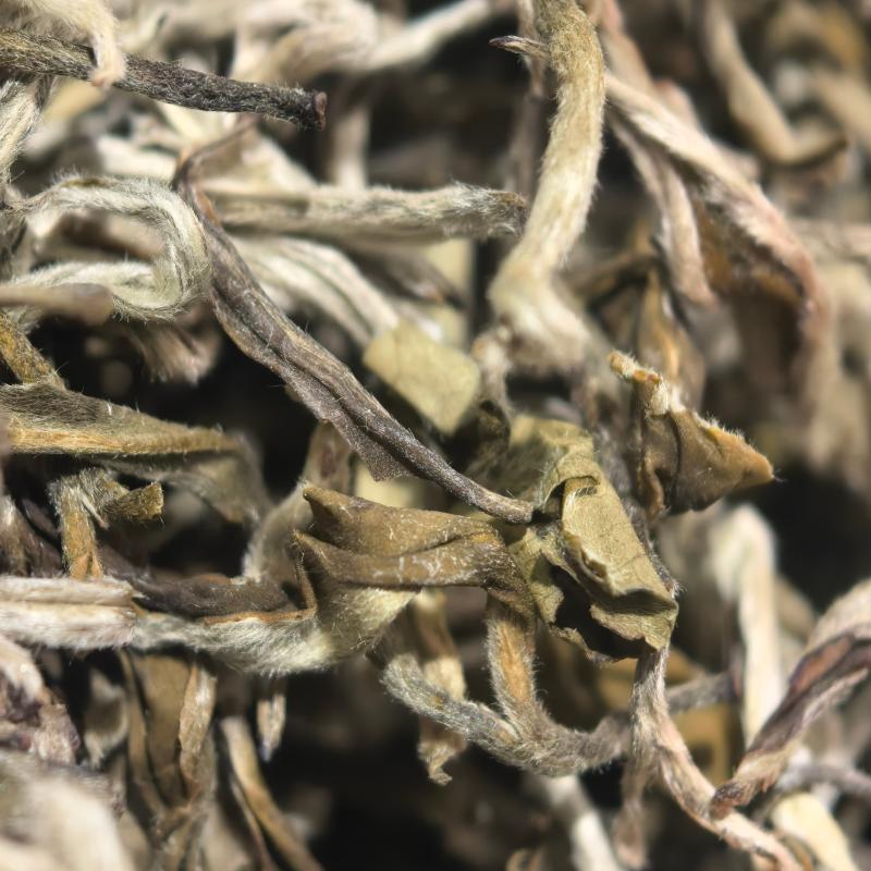 【云南绿茶】L1茶叶2026夏茶浓郁可口可泡可煮新茶茶叶