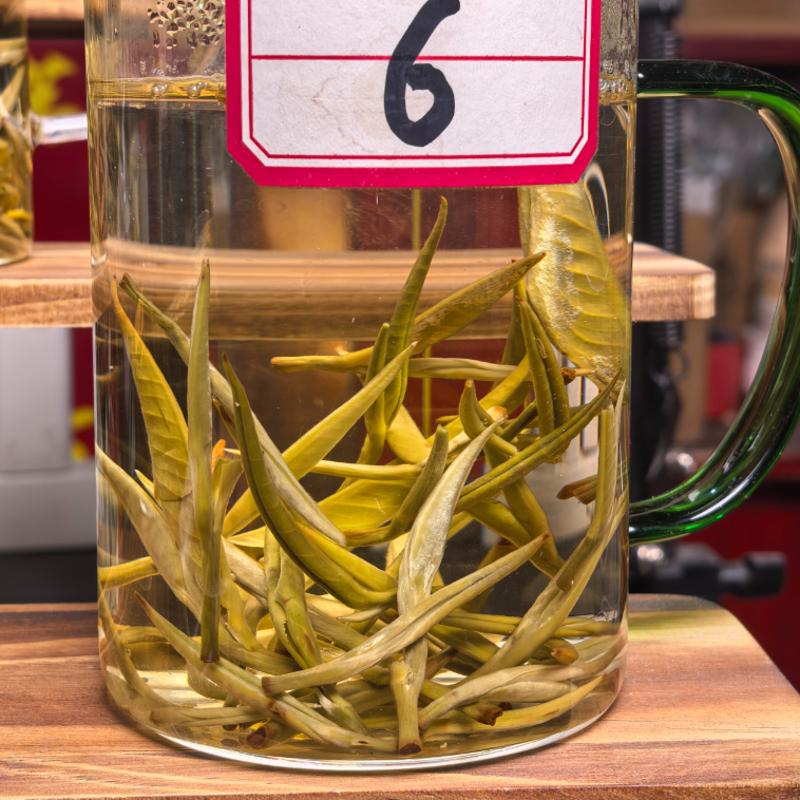 【云南雪龙】高山明前嫩芽鲜爽浓香绿茶微涩即化花香栗香茶叶