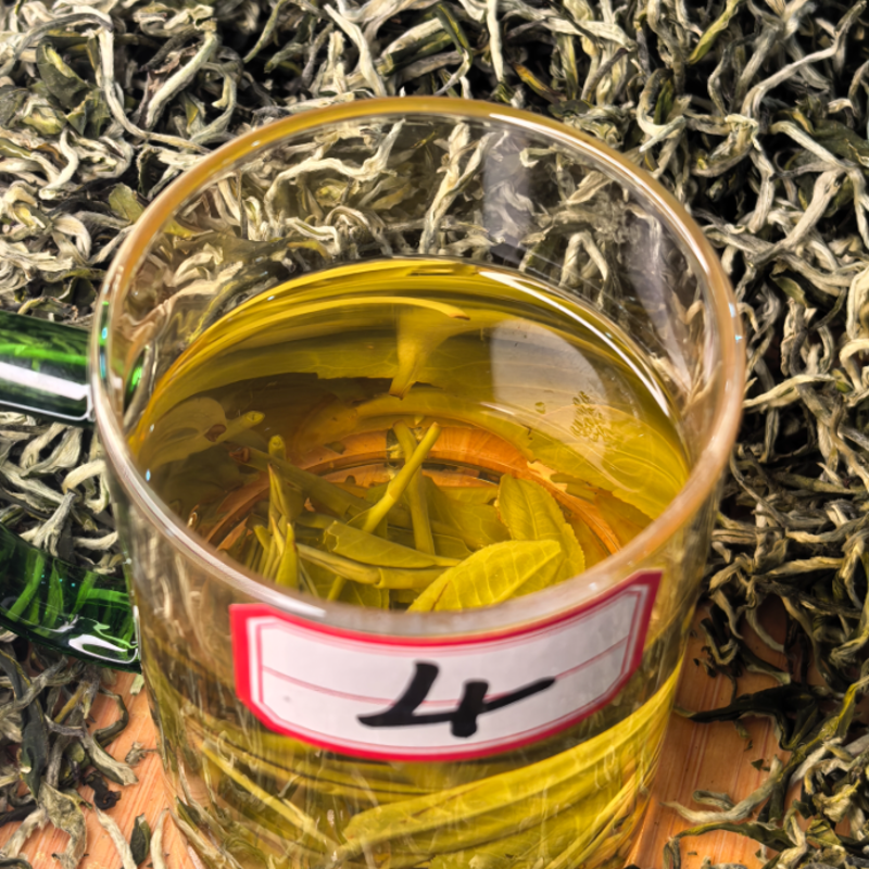 【云南玉螺】明前高山春茶绿茶大叶种卷曲螺形耐泡鲜爽鲜醇耐泡回甘