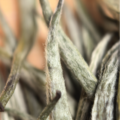 【踏雪兰妃】L1中香2025蒙顶山明前黄茶兰花窨制焖黄工艺白毫如雪