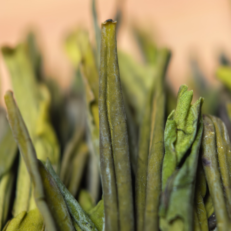 【黄金芽】H4绿茶条形明前嫩芽豆香栗香鲜爽回甘清雅耐泡口粮绿茶