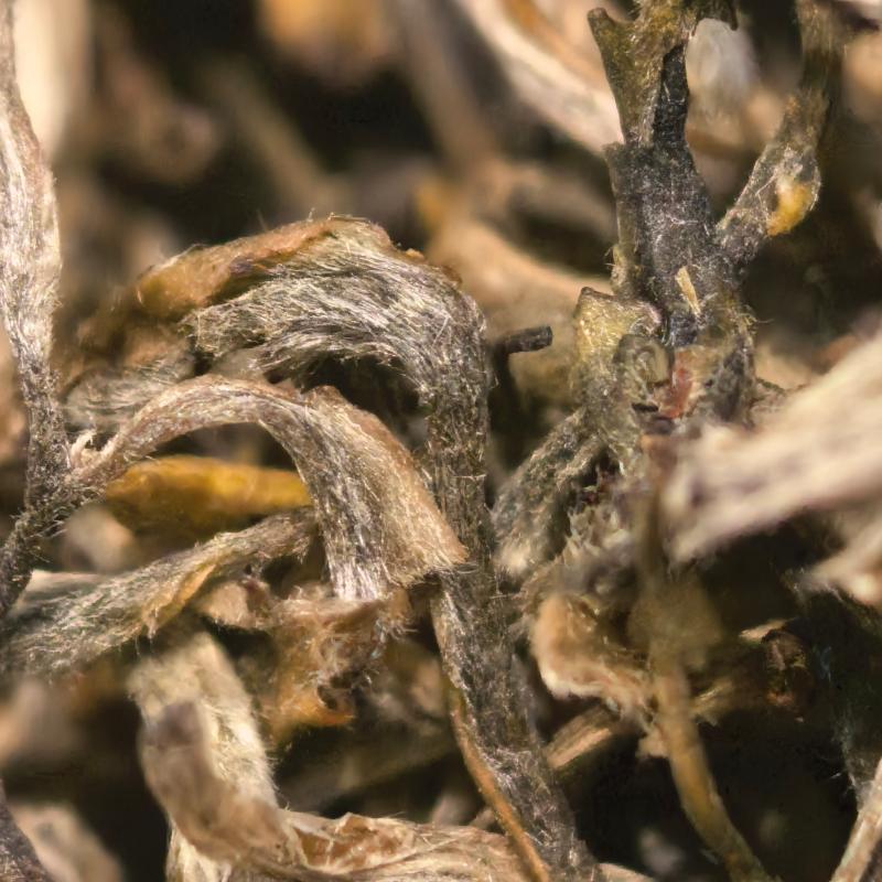 【春尖银丝】Y4明前高山绿茶白毫显露鲜爽甘甜耐泡花香春季嫩芽茶叶