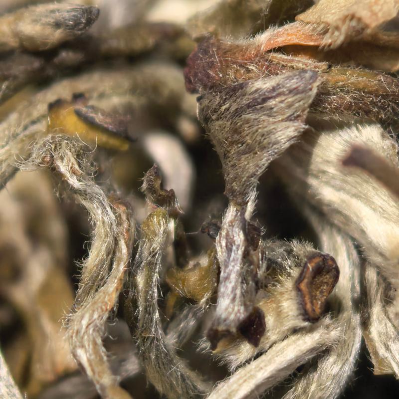 【春尖银丝】Y4明前高山绿茶白毫显露鲜爽甘甜耐泡花香春季嫩芽茶叶