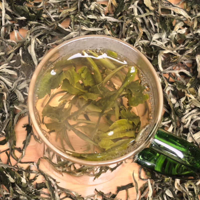 【秋采绿茶】Q2嫩芽浓香耐泡高扬栗香花香季节风味滋味醇和回甘清润