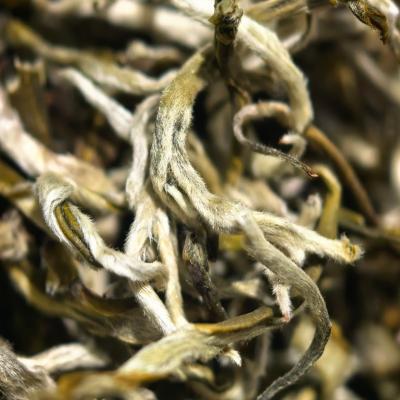 【云南绿茶】玉1玉螺茶叶2026夏茶浓郁可口可泡可煮新茶茶叶