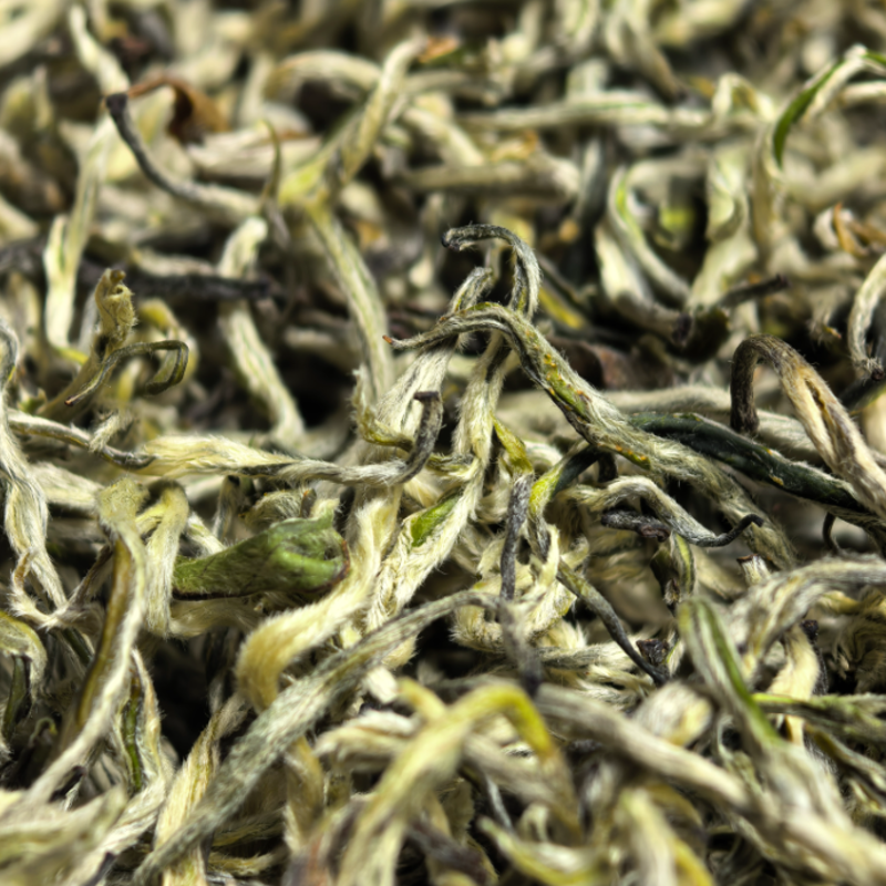 【春尖银丝】Y2明前高山绿茶白毫显露鲜爽甘甜耐泡花香春季嫩芽茶叶